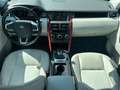 Land Rover Discovery Sport 2,0 SD4 4WD SE Aut.Aktion beiFinanzierungFIX6,274% Gris - thumbnail 20