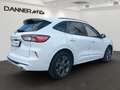 Ford Kuga 190PS Benzin 2,5 Duratec FHEV AWD ST-Line Aut. ... Weiß - thumbnail 5