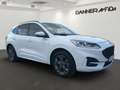 Ford Kuga 190PS Benzin 2,5 Duratec FHEV AWD ST-Line Aut. ... Weiß - thumbnail 2