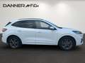 Ford Kuga 190PS Benzin 2,5 Duratec FHEV AWD ST-Line Aut. ... Blanc - thumbnail 3