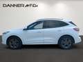 Ford Kuga 190PS Benzin 2,5 Duratec FHEV AWD ST-Line Aut. ... Blanc - thumbnail 4