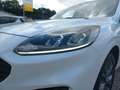 Ford Kuga 190PS Benzin 2,5 Duratec FHEV AWD ST-Line Aut. ... Weiß - thumbnail 7