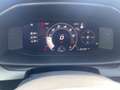 CUPRA Formentor VZ 2.0 TSI 245kW (333 PS) 7-Gang DSG 4 Grau - thumbnail 11