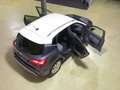 SEAT Arona 1.0 TSI OPF Xperience Navi ACC DAB LM17 Grau - thumbnail 15