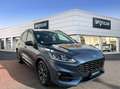 Ford Kuga 2.0 EcoBlue ST-Line Blau - thumbnail 7