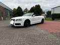 Audi S5 3.0 TFSI quattro Bianco - thumbnail 9