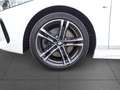 BMW 120 iA M SPORT LiveCockProf LED Sitzh PDC AHK 18" Wit - thumbnail 17