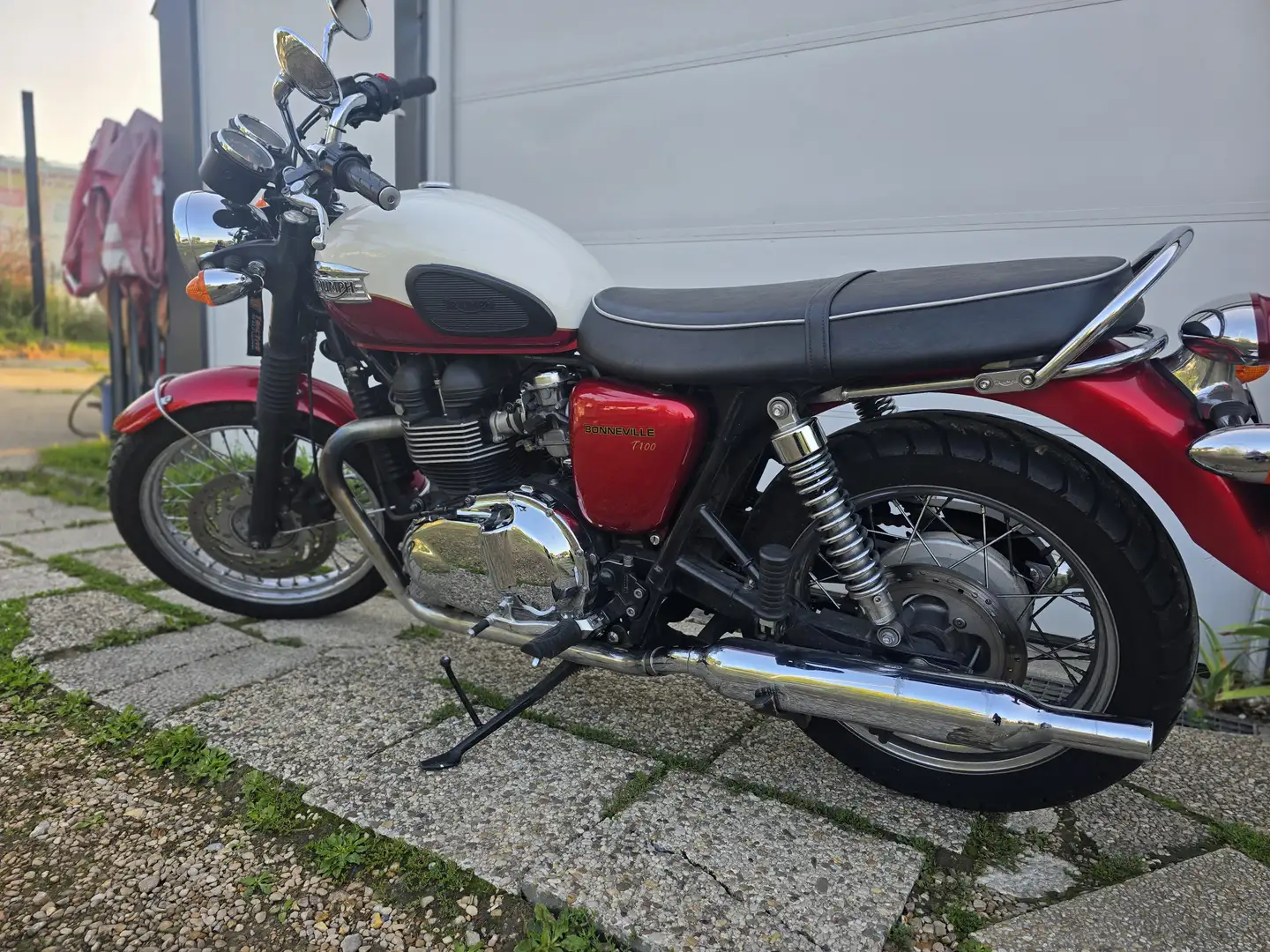 Triumph Rouge - 1