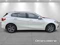 BMW 116 Hatch Bianco - thumbnail 3