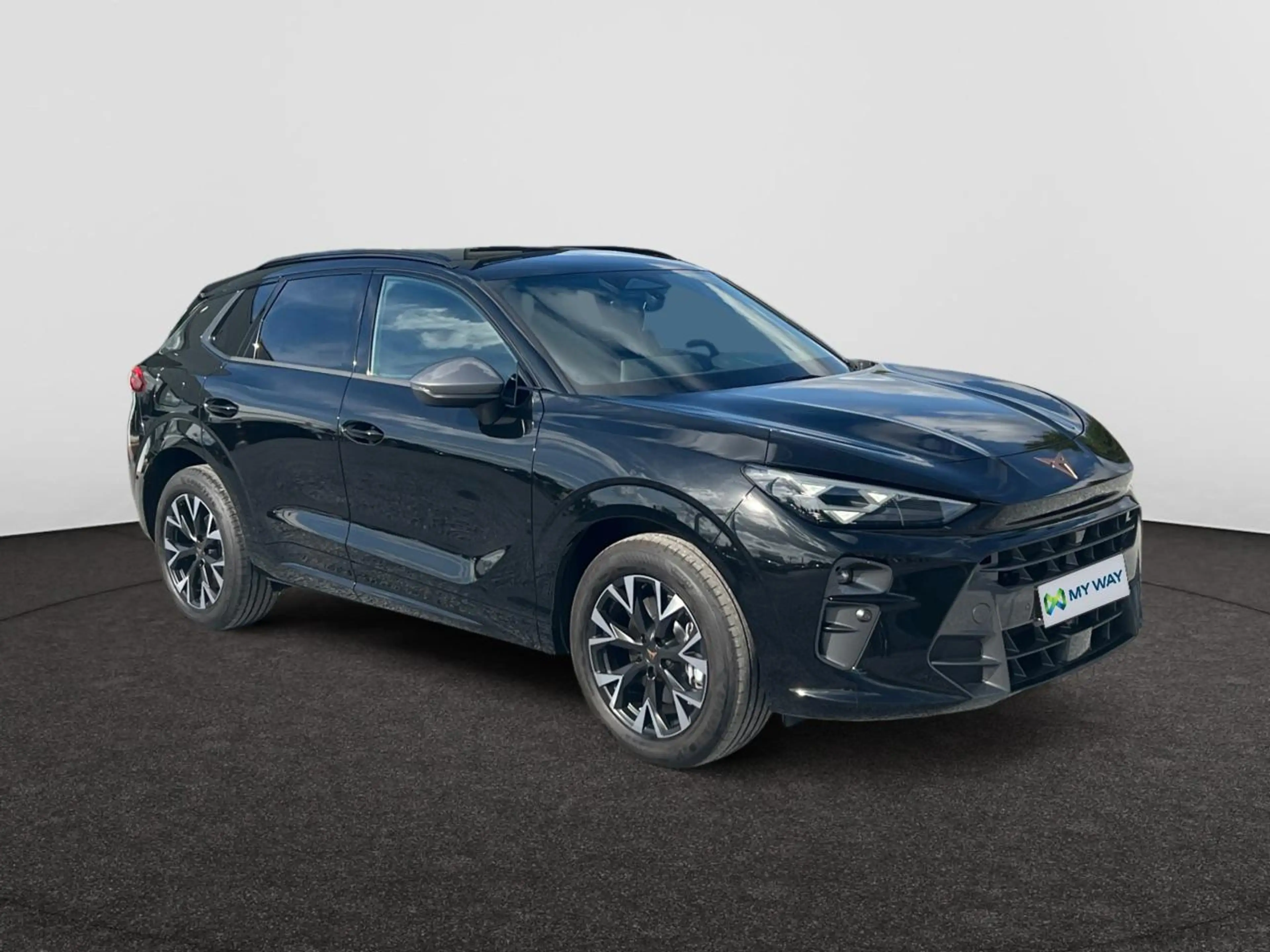 CUPRA Terramar Terramar e-Hybrid 1.5 Business DSG (150 kW) — photo 14
