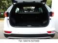 Kia Sportage GT-Line 4WD Xen Pano AHK-abnehmbar Blanc - thumbnail 11