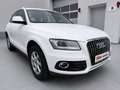 Audi Q5 2,0 TDI quattro S-tronic Weiß - thumbnail 1