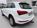 Audi Q5 2,0 TDI quattro S-tronic Weiß - thumbnail 3