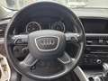 Audi Q5 2,0 TDI quattro S-tronic Weiß - thumbnail 12