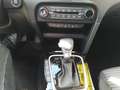 Kia Ceed / cee'd 1.5 T-GDI 48V 140 PS DCT Ultimate Edition Grau - thumbnail 14