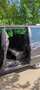 Peugeot 807 HDi 165 Family Grau - thumbnail 7