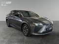 Lexus RZ 300e Executive Line *PANO*8FACH* Gris - thumbnail 8