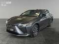 Lexus RZ 300e Executive Line *PANO*8FACH* Gris - thumbnail 2