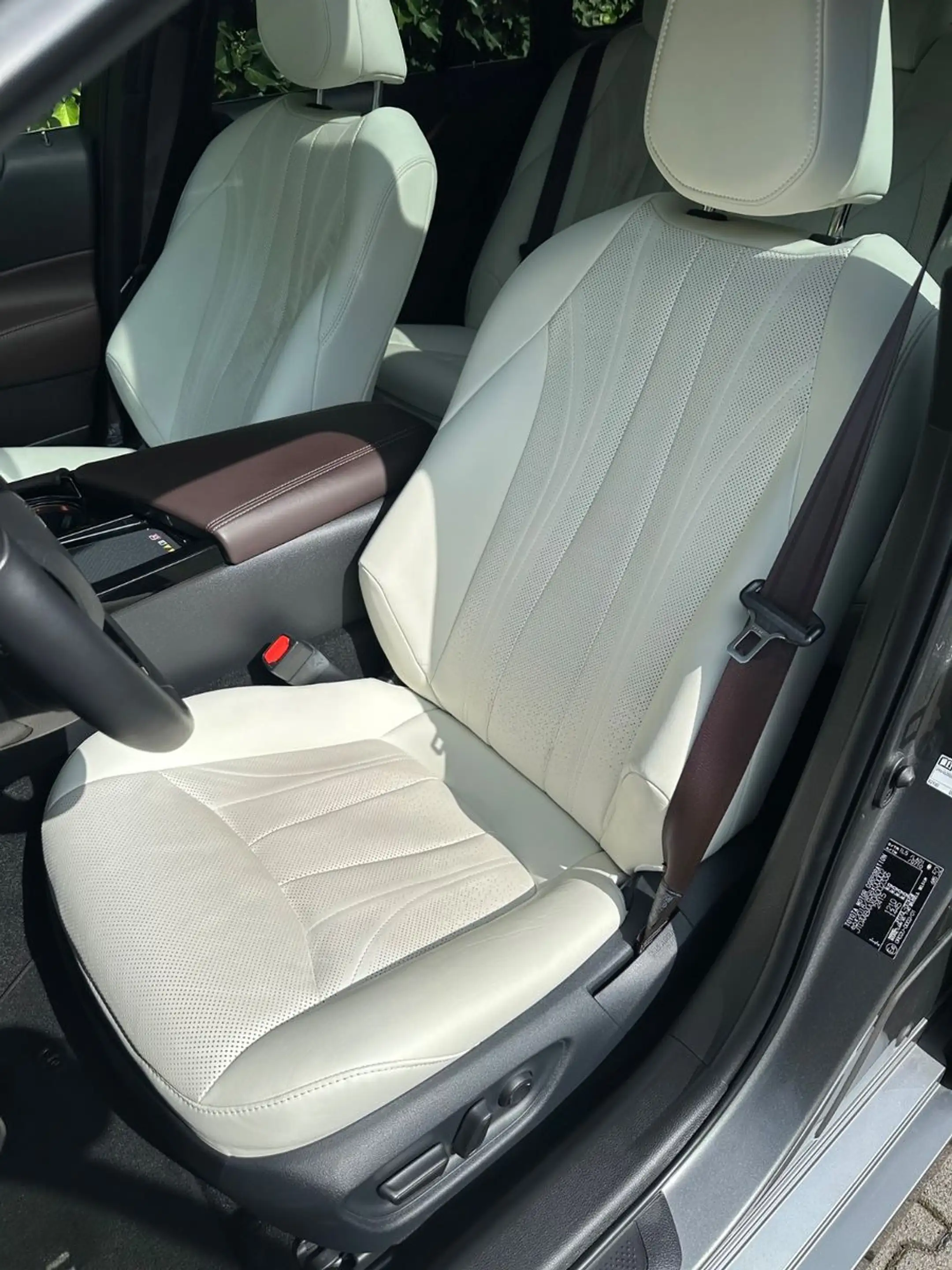 Toyota Mirai Advanced/JBL/HeadUp/Matrix-LED/Pano/360° — photo 8