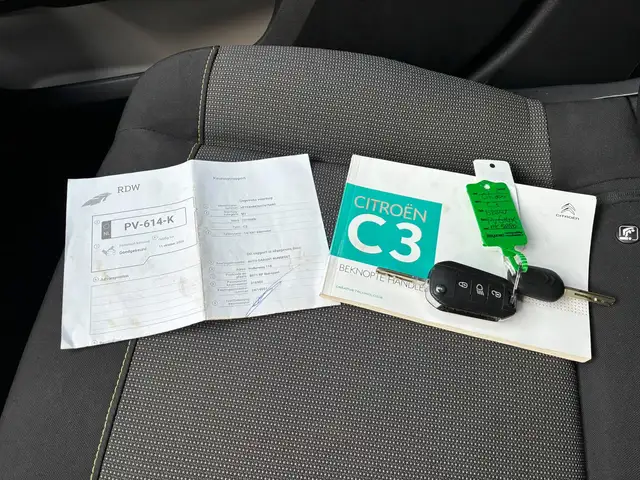 Citroen C3 view 12