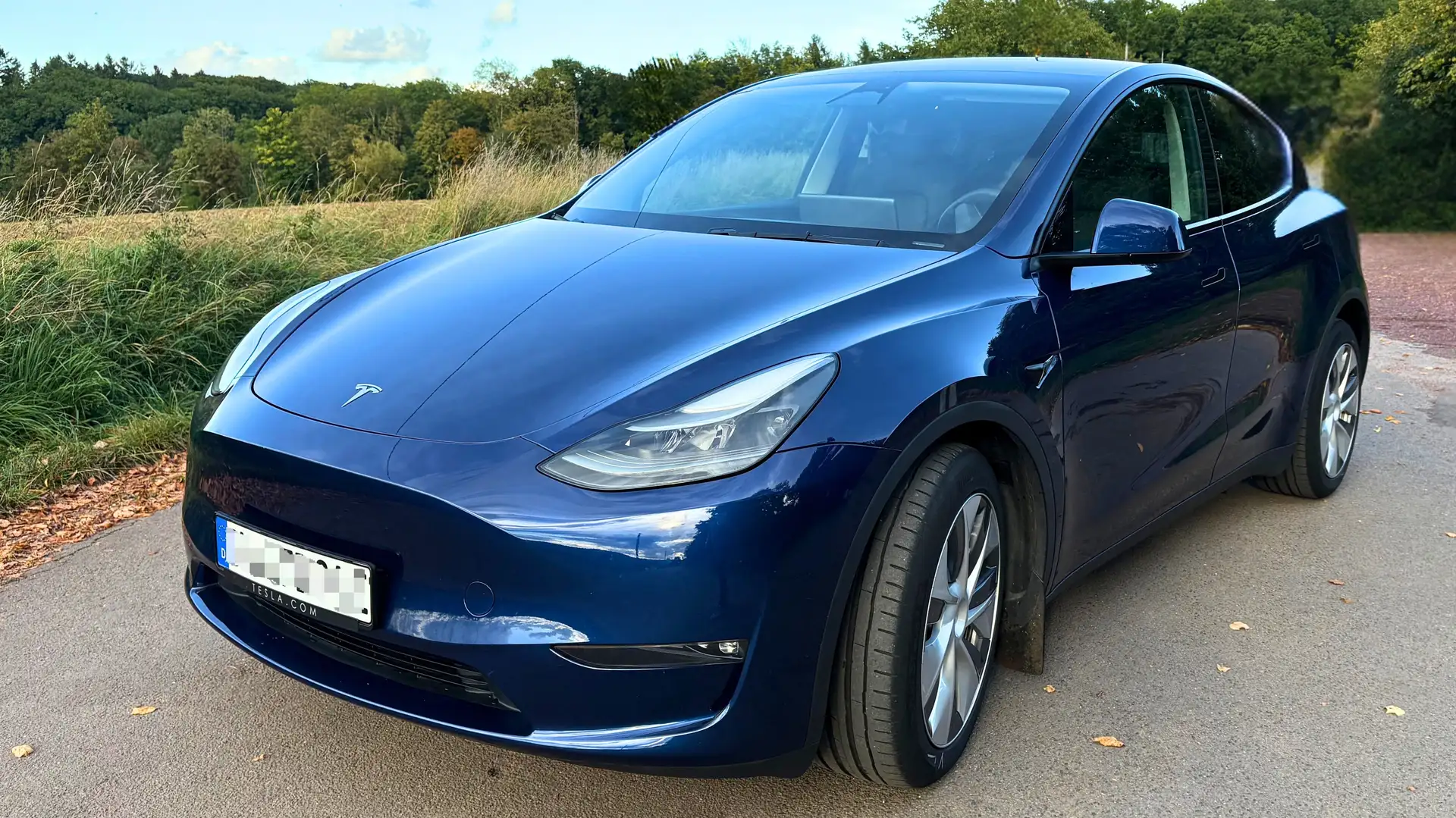 Tesla Model Y Model Y Long Range Dual Motor AWD Blau - 1