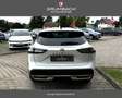 Nissan Qashqai TEKNA+ 1.3 DIG-T MHEV 116kw Xtronic 20Zoll Sitz... Weiß - thumbnail 7