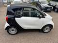 smart forTwo coupe EQ 22KW-SCHNELL/COOL&AUDIO *8000KM/Aus1.HAND Weiß - thumbnail 6