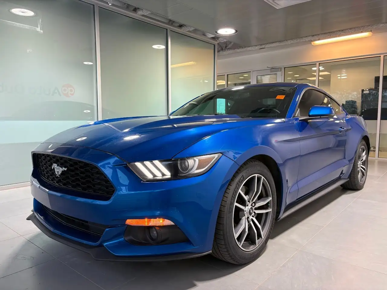 Ford Mustang снимка Ford Mustang