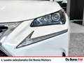 Lexus NX 300 300h 2.5 executive 4wd cvt - thumbnail 16
