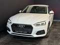 Audi A5 40 TDI quattro basis Weiß - thumbnail 3