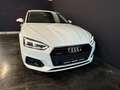 Audi A5 40 TDI quattro basis Weiß - thumbnail 20