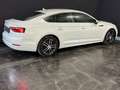 Audi A5 40 TDI quattro basis Weiß - thumbnail 13
