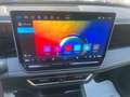 Volkswagen Tiguan Tiguan 2.0 TDI 150 CV DSG R-Line Plus Verde - thumbnail 18