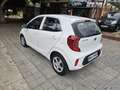 Kia Picanto 1.0 CVVT Concept Plus Blanco - thumbnail 2