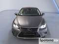 Lexus CT 200h Hybrid Executive Grijs - thumbnail 6