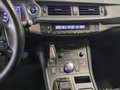 Lexus CT 200h Hybrid Executive Grijs - thumbnail 15