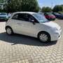 Fiat 500 MY21 1.0 CULT 70PS Start/Stopp Klima Weiß - thumbnail 4