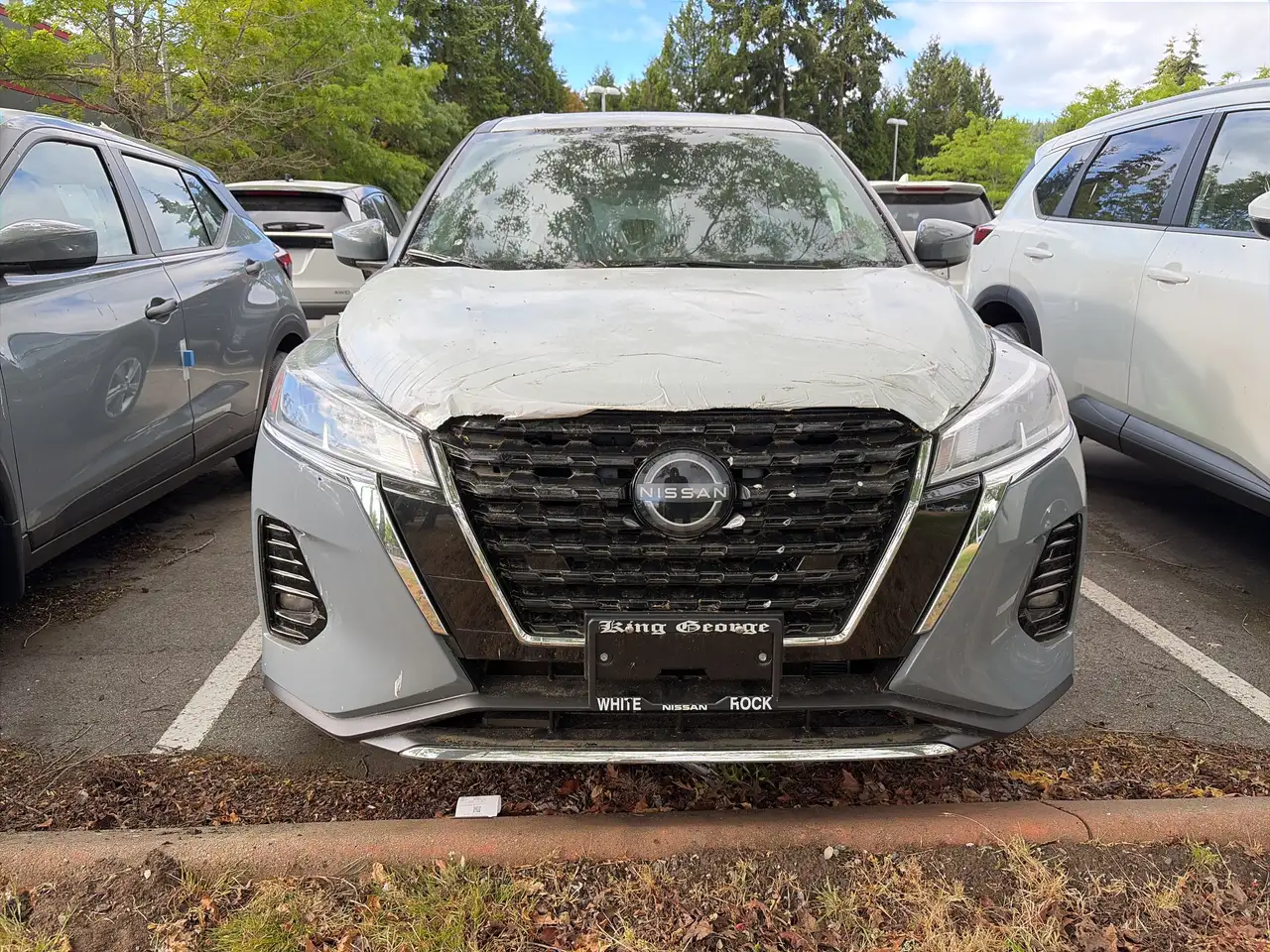 Nissan Kicks снимка Nissan Kicks