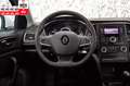 Renault Megane IV Grandtour LIFE*AHK*TEMPOMAT*MLTF*KLIMA Weiß - thumbnail 9