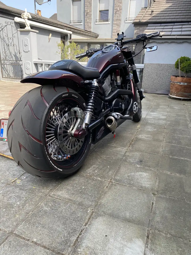 Harley-Davidson V-Rod Paars - 2