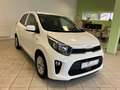Kia Picanto Dream Team +Klima+SHZ+ALU+Lenkradheizung+ Weiß - thumbnail 2