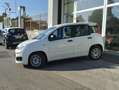 Fiat Panda Panda III 2022 1.0 firefly hybrid s Bianco - thumbnail 3