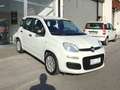 Fiat Panda Panda III 2022 1.0 firefly hybrid s Bianco - thumbnail 5