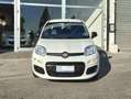 Fiat Panda Panda III 2022 1.0 firefly hybrid s Bianco - thumbnail 4