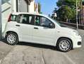Fiat Panda Panda III 2022 1.0 firefly hybrid s Bianco - thumbnail 6
