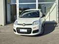 Fiat Panda Panda III 2022 1.0 firefly hybrid s Bianco - thumbnail 1