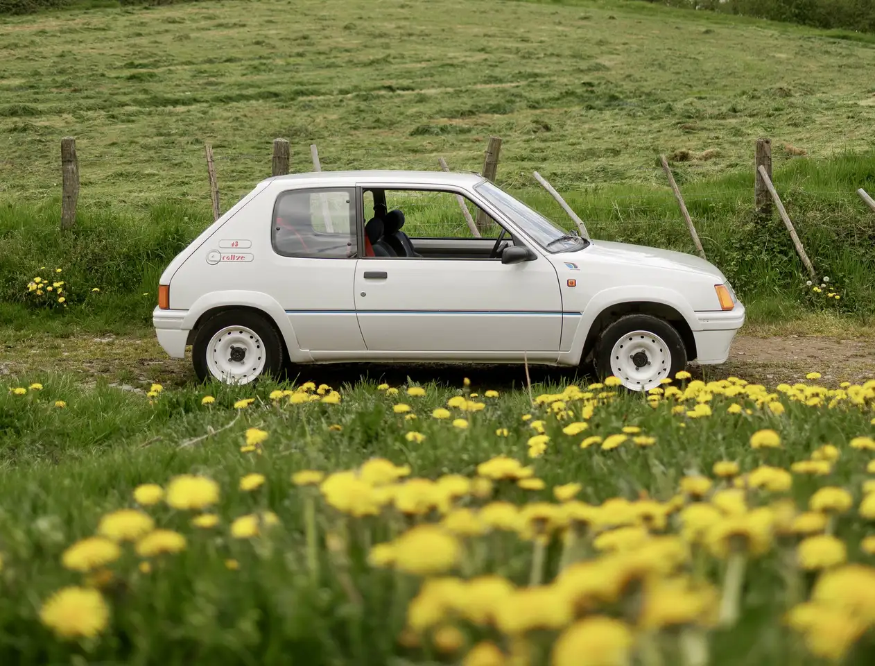Peugeot 205 RALLYE | RAW DRIVING EXPERIENCE | 800KG | WEBER CA, foto 3