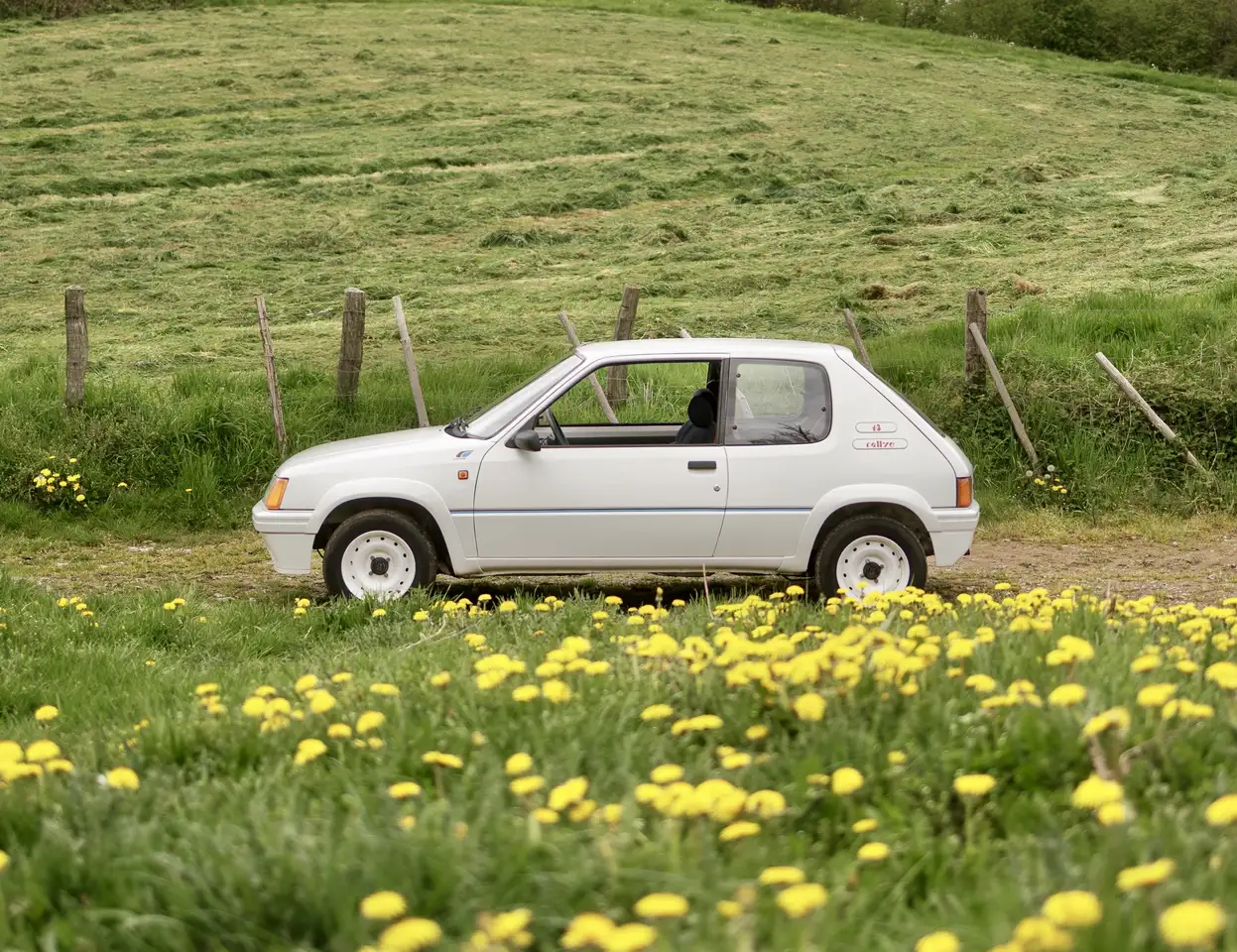 Peugeot 205 RALLYE | RAW DRIVING EXPERIENCE | 800KG | WEBER CA, foto 2