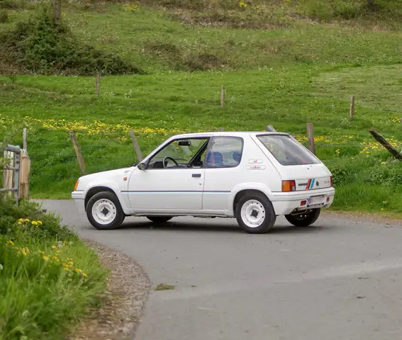 Peugeot 205 RALLYE | RAW DRIVING EXPERIENCE | 800KG | WEBER CA