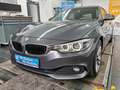 BMW 430 d Advantage 3.0 TD*Navi*AHK*Harman-Kardon*LWS Grau - thumbnail 1